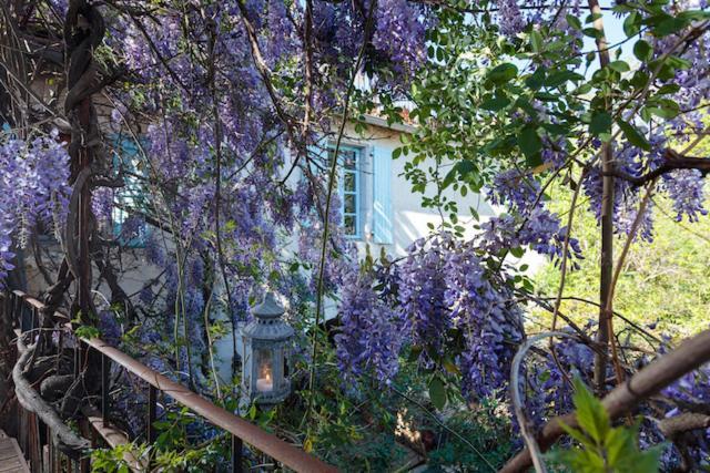 La Vieille Maison - Halte Gourmande Durfort-et-Saint-Martin-de-Sossenac Экстерьер фото